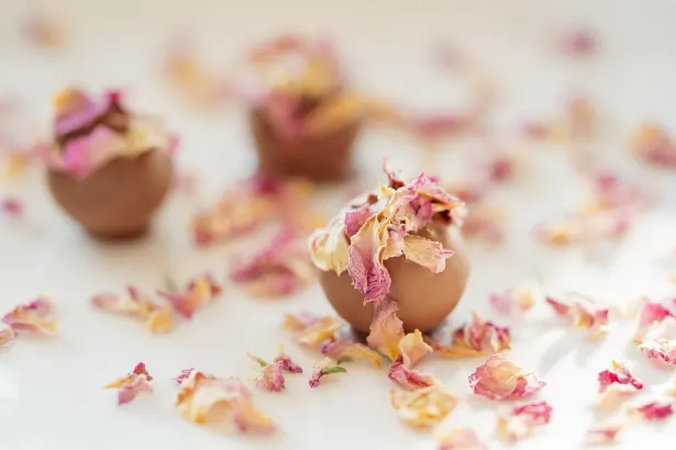 بليكان كازينو تطبيق أندرويد/آي أو إس